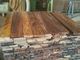 Stable Kiln Wood Sawn Timber , Rough Sawn Lumber Customize Size A Grade